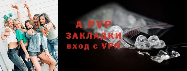 молекула духа Дмитровск