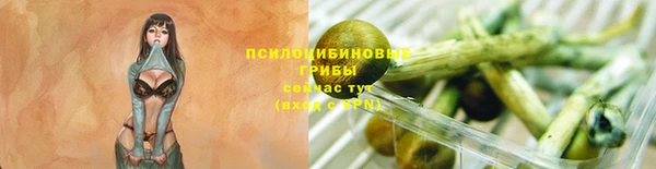 молекула духа Дмитровск