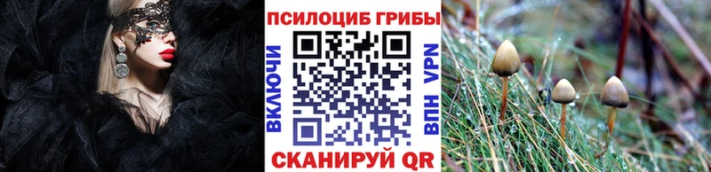 Купить закладки  Красноярск  Галлюциногенные грибы Psilocybine cubensis 